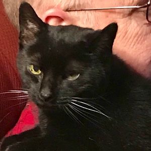 Meet your Posher, Karen